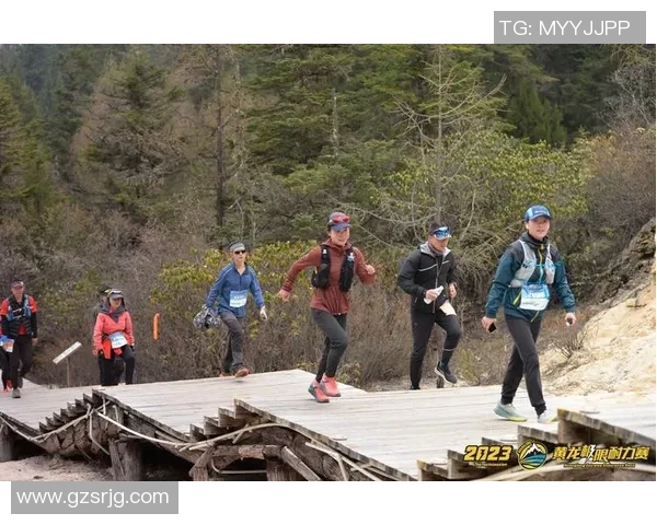 成都乒乓球队耐力提升之路引发热议与关注