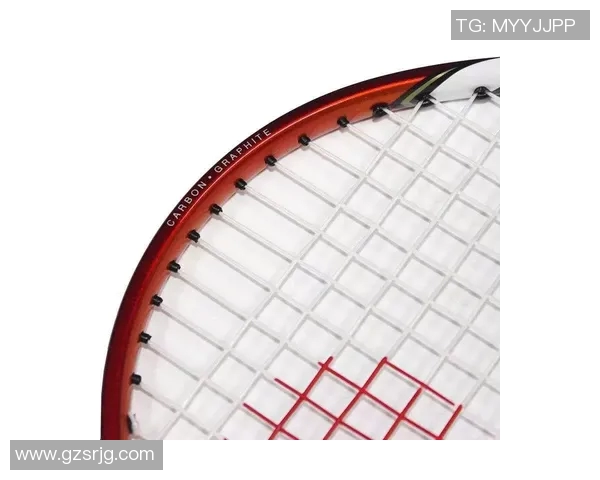 排球爱好者必看护腕选购指南与推荐品牌分析