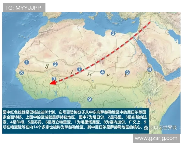 喀麦隆与荷兰上半场精彩对决分析及战术解读